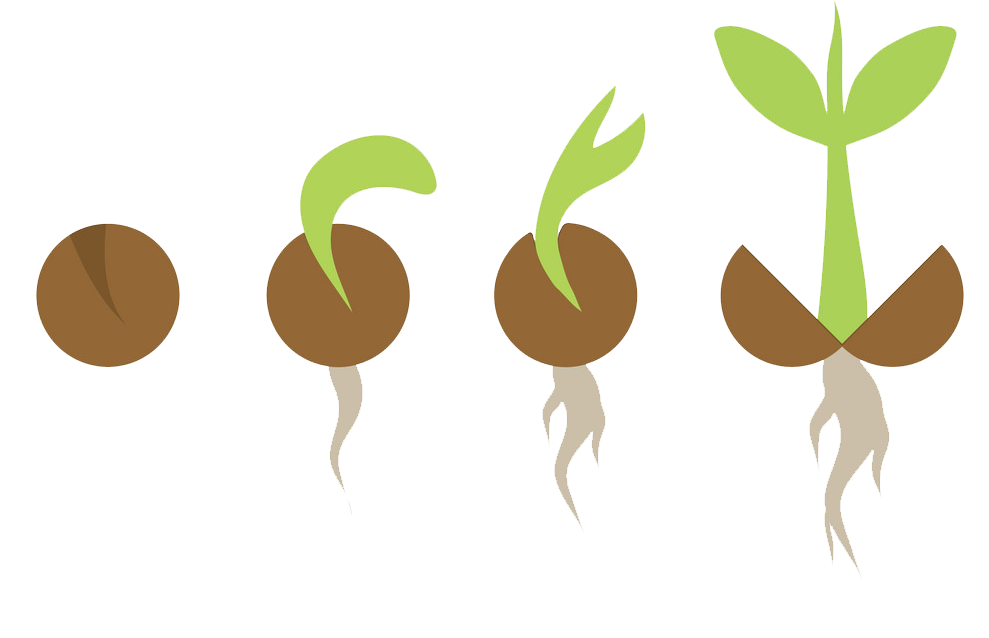 Growth.jpg