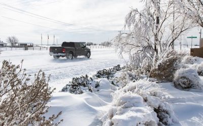 Congressman Michael McCaul joins effort to restore power for Texans