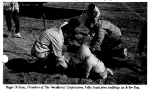 Planting seedlings for Arbor Day