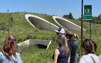 NHA Environment Committee Tours Memorial Park Land Bridge