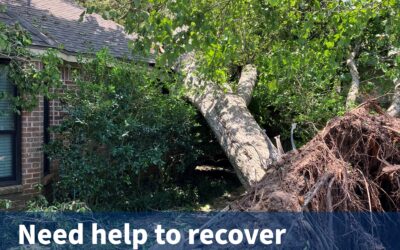 The Small Business Administration Offers Low Interest Disaster Loans